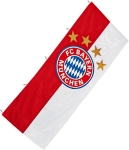 FC Bayern München Hissflagge Logo 150x400cm