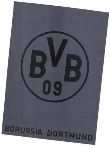 Borussia Dortmund Fleecedecke grau 150x200cm