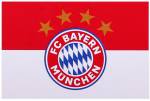 FC Bayern München Fahne Logo 150x100 cm