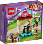LEGO Friends-Waschhäuschen für Emmas Fohlen