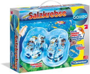 Galileo-Salzkrebse Basis Set