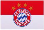 FC Bayern München Hissflagge Logo, 250x150cm