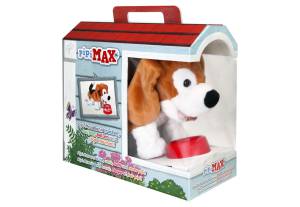 Pipi Max Beagle