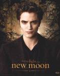 Twilight New Moon Poster "Edward Trees", klein